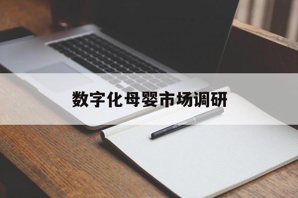 无锡市数字化母婴市场调研(数字化母婴市场调研报告)